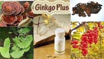 Ginkgo biloba tablete