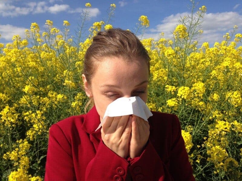 Alergija simptomi i liječenje