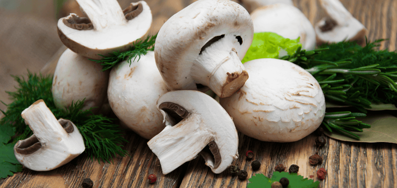 Champignon gljive - Kako pomažu u regulaciji razine šećera u krvi?