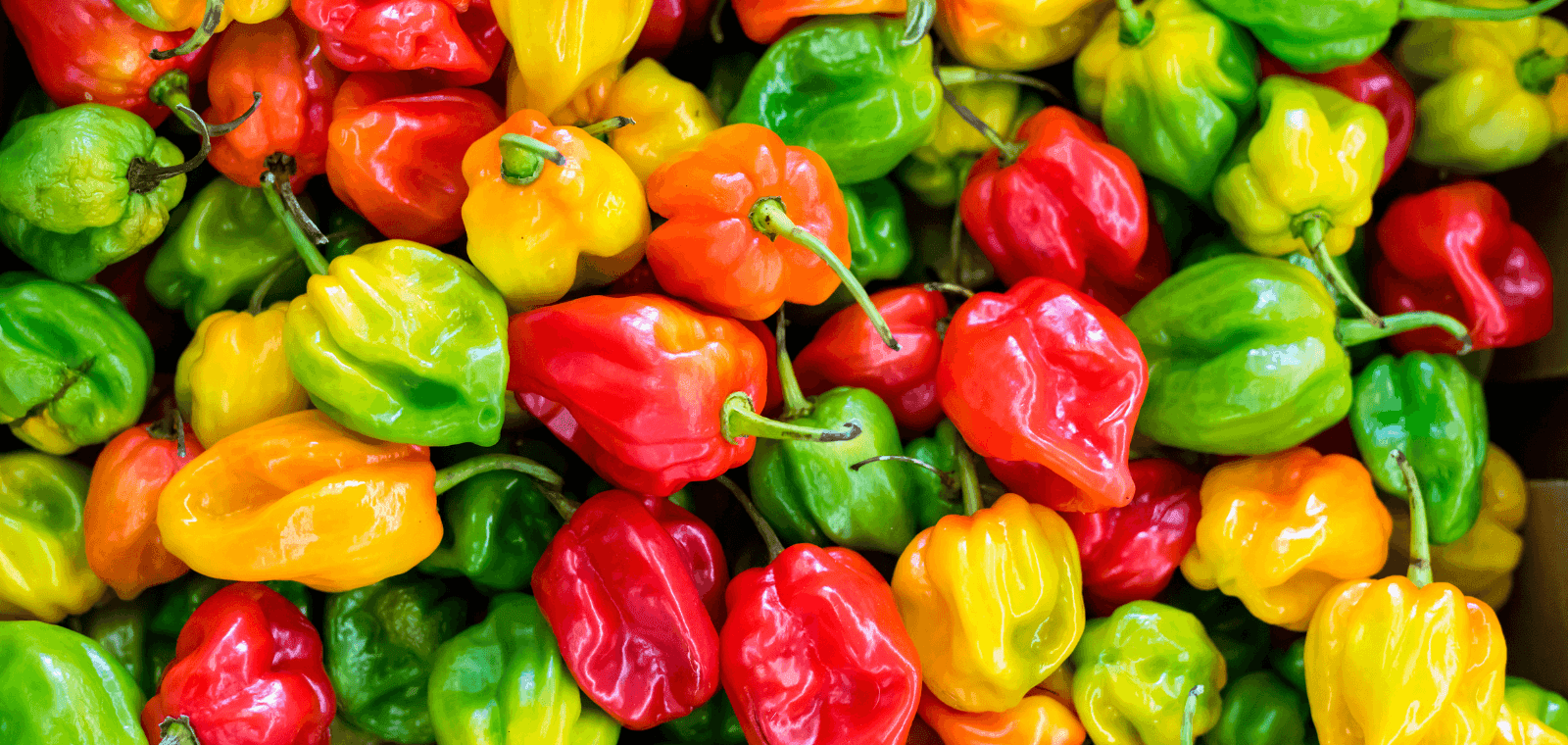 Paprika - Superhrana za zdravlje i vitalnost