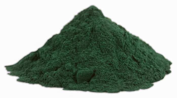 alga spirulina