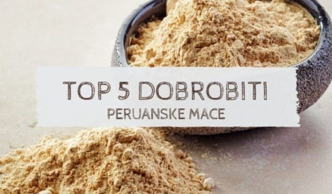 Maca Korijen