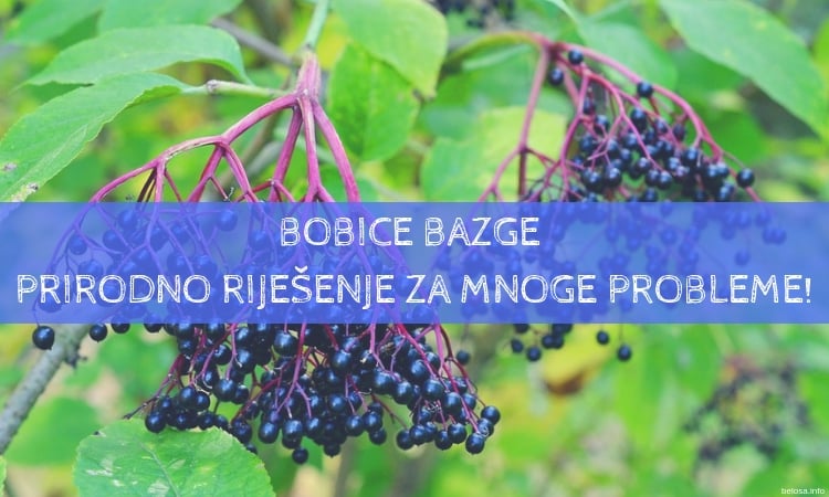 Bobice Bazge