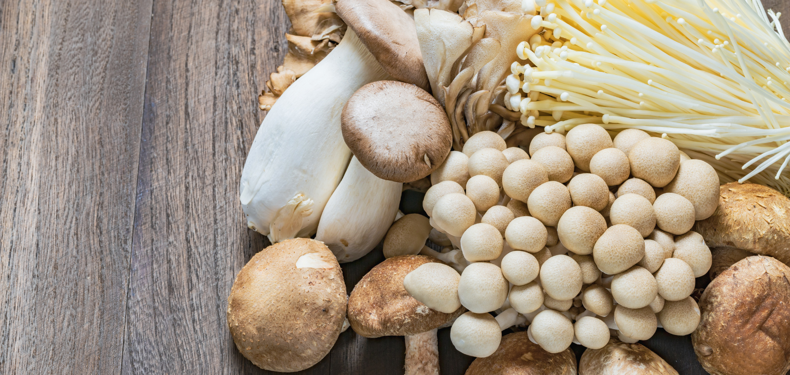 Zdrave Gljive - Kako pojedine vrste gljiva utječu na naše zdravlje?